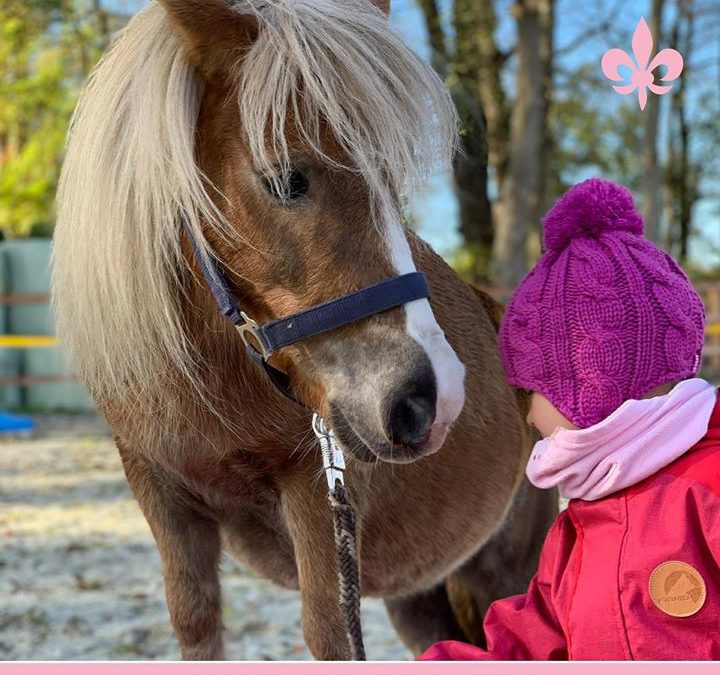 Unser Therapiepony Julia freut sich!